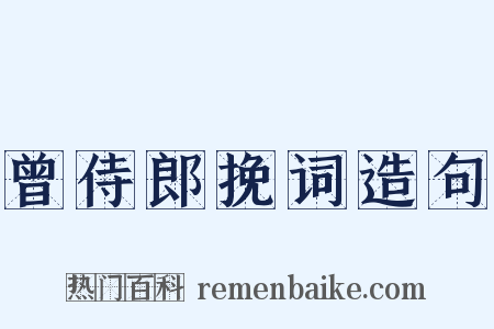 曾侍郎挽词造句是什么意思的图片